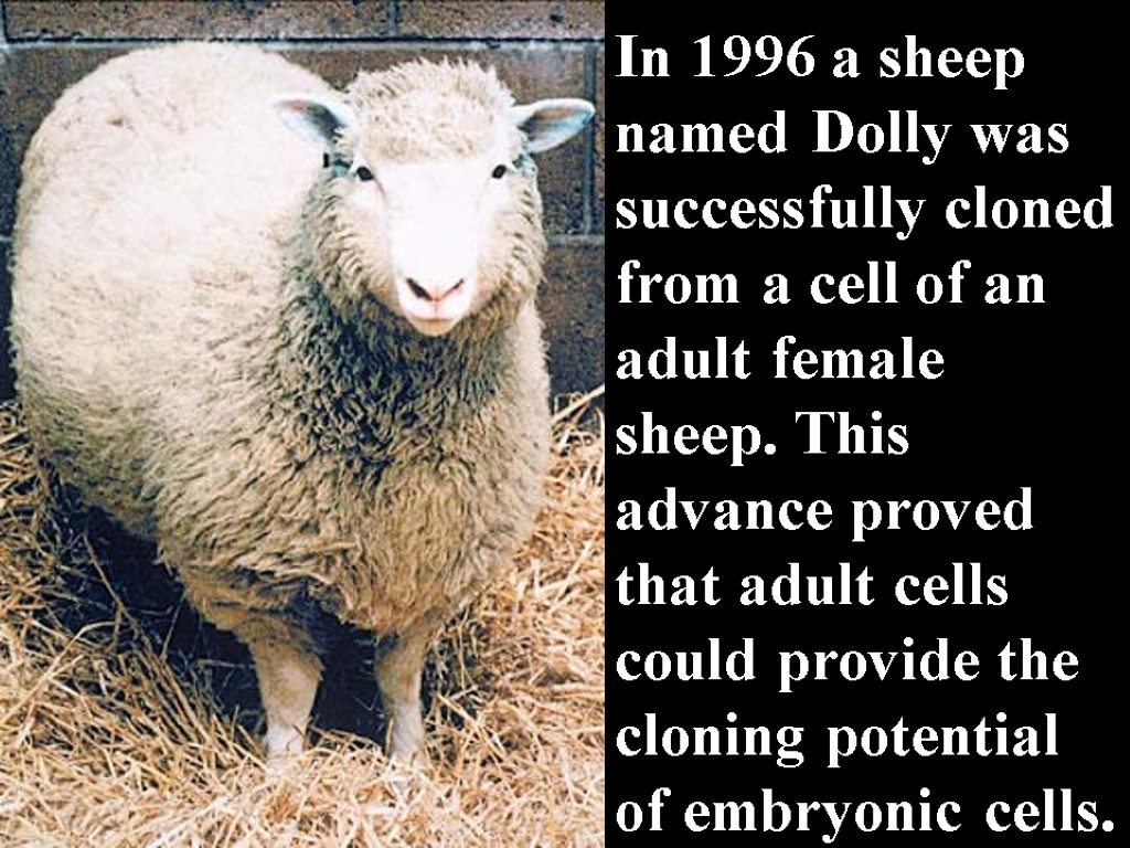 In 1996 a sheep named Dolly was successfully cloned from a cell of an